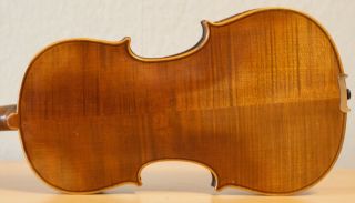 Old Violin 4/4 Geige Viola Cello Fiddle Label Aug.  MÜller