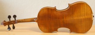 old violin 4/4 Geige viola cello fiddle label AUG.  MÜLLER 7