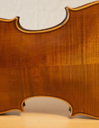 old violin 4/4 Geige viola cello fiddle label AUG.  MÜLLER 9
