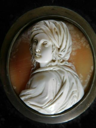 ANTIQUE CARVED CAMEO PAPERWEIGHT - CARVED SHELL CAMEO (for brooch) 3