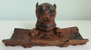 Circa 1920 Black Forest (Brienz) hand carved Inkwell in shape of a Dog ' s Head 2