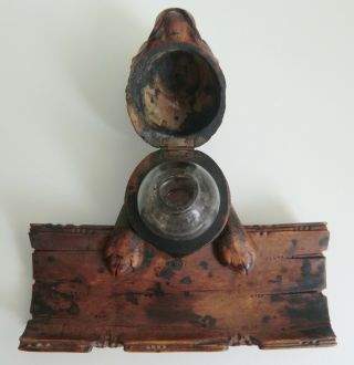 Circa 1920 Black Forest (Brienz) hand carved Inkwell in shape of a Dog ' s Head 4