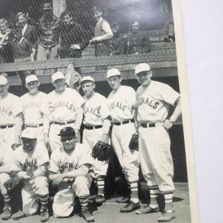 signal corps baseball team picture ww2 vintage us army 1940s sports press shot 4