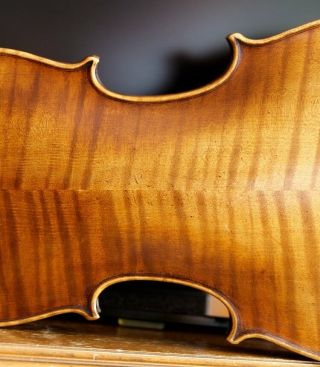 Very old labelled Vintage violin 