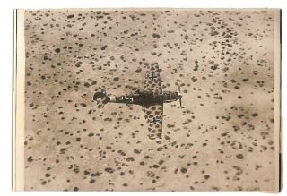 Wwii Photo Press German Plane In The Fighting Area Tobruk - Libya 1941