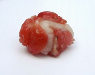 Chinese antique small stone pendant,  red Agate,  carved images fish dragon,  frogs 2