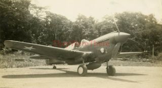 Wwii Photo - P - 40 Warhawk Fighter Plane Nose Art - Tomahawk & Skull W/ Kills