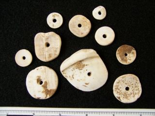 10 Authentic Mississippian Shell Disc Beads Found In Bollinger Co. ,  Missouri