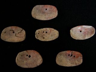Six Authentic Shell Ornaments From Sonoma County,  California