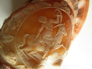 Carved Shell Cameo Warrior On Horse In Clouds 1930s Conch Shell Lamp