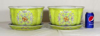 Chinese Jiaqing Period Famille Rose Imperial Yellow Planters With Under Plates