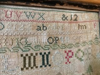 Fabulous Antique Vintage Victorian Sampler in Pine Frame 7