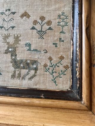 Fabulous Antique Vintage Victorian Sampler in Pine Frame 8