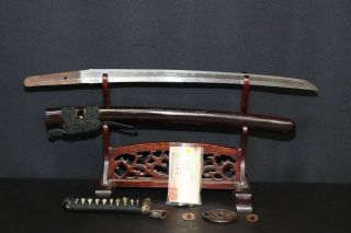 (ir - 59) Wakizashi " Blade Length 42.  7cm (16.  8inch) " With Koshirae Edo