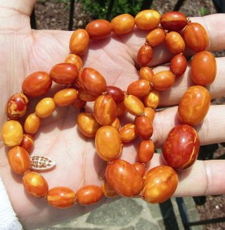 100 Natural Baltic Amber Bead Necklace,  Butterscotch,  Egg Yolk,  Chinese