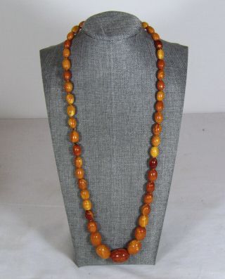 100 NATURAL BALTIC AMBER BEAD NECKLACE,  BUTTERSCOTCH,  EGG YOLK,  CHINESE 2