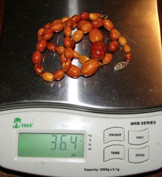 100 NATURAL BALTIC AMBER BEAD NECKLACE,  BUTTERSCOTCH,  EGG YOLK,  CHINESE 4
