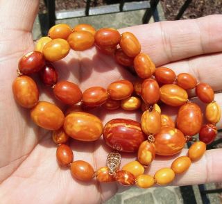 100 NATURAL BALTIC AMBER BEAD NECKLACE,  BUTTERSCOTCH,  EGG YOLK,  CHINESE 5