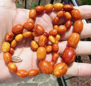 100 NATURAL BALTIC AMBER BEAD NECKLACE,  BUTTERSCOTCH,  EGG YOLK,  CHINESE 6