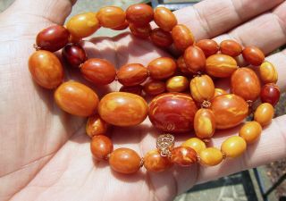 100 NATURAL BALTIC AMBER BEAD NECKLACE,  BUTTERSCOTCH,  EGG YOLK,  CHINESE 7