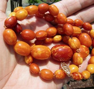 100 NATURAL BALTIC AMBER BEAD NECKLACE,  BUTTERSCOTCH,  EGG YOLK,  CHINESE 8