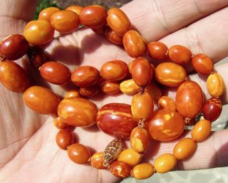 100 NATURAL BALTIC AMBER BEAD NECKLACE,  BUTTERSCOTCH,  EGG YOLK,  CHINESE 9