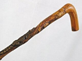 Fine American Antique Walking Cane Stick Hand Carved Crocodile Alligator 19 Cent