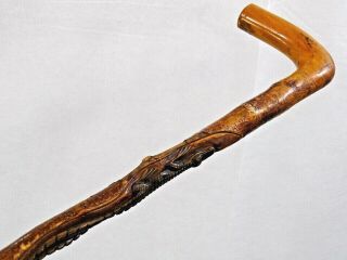 FINE AMERICAN ANTIQUE WALKING CANE STICK HAND CARVED CROCODILE ALLIGATOR 19 cent 2