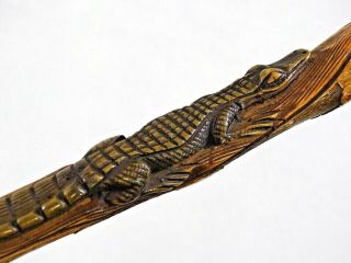 FINE AMERICAN ANTIQUE WALKING CANE STICK HAND CARVED CROCODILE ALLIGATOR 19 cent 3