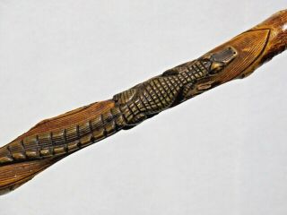 FINE AMERICAN ANTIQUE WALKING CANE STICK HAND CARVED CROCODILE ALLIGATOR 19 cent 5