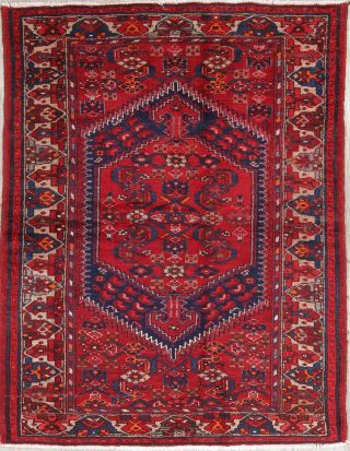 Persian Hamadan 4x7 Wool Hand - Knotted Geometric Oriental Area Rug 6 