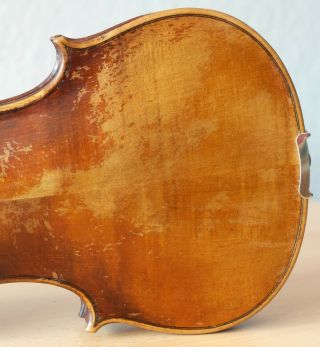 old violin 4/4 geige viola cello fiddle label GAETANUS SGARABOTTO 10