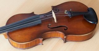 old violin 4/4 geige viola cello fiddle label GAETANUS SGARABOTTO 11