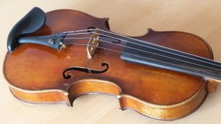 old violin 4/4 geige viola cello fiddle label GAETANUS SGARABOTTO 12