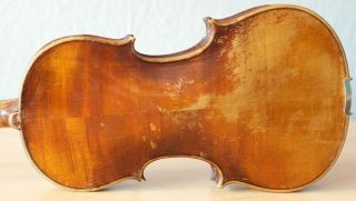 Old Violin 4/4 Geige Viola Cello Fiddle Label Gaetanus Sgarabotto