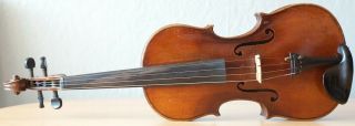 old violin 4/4 geige viola cello fiddle label GAETANUS SGARABOTTO 2