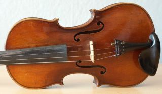 old violin 4/4 geige viola cello fiddle label GAETANUS SGARABOTTO 3