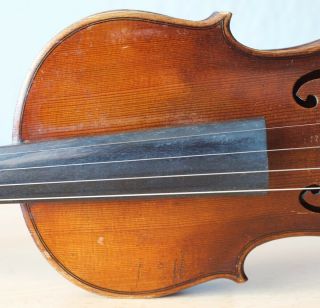 old violin 4/4 geige viola cello fiddle label GAETANUS SGARABOTTO 4