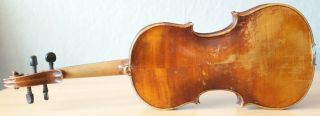 old violin 4/4 geige viola cello fiddle label GAETANUS SGARABOTTO 7