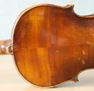 old violin 4/4 geige viola cello fiddle label GAETANUS SGARABOTTO 8