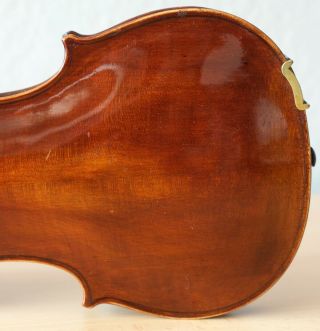 old violin 4/4 geige viola cello fiddle label CARLO ANTONIO TESTORE 10