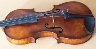 old violin 4/4 geige viola cello fiddle label CARLO ANTONIO TESTORE 11
