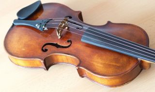 old violin 4/4 geige viola cello fiddle label CARLO ANTONIO TESTORE 12