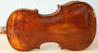 Old Violin 4/4 Geige Viola Cello Fiddle Label Carlo Antonio Testore