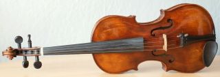 old violin 4/4 geige viola cello fiddle label CARLO ANTONIO TESTORE 2