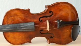 old violin 4/4 geige viola cello fiddle label CARLO ANTONIO TESTORE 3
