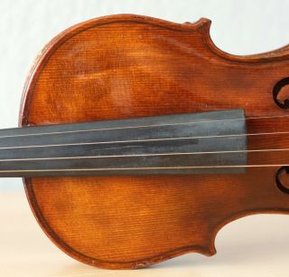old violin 4/4 geige viola cello fiddle label CARLO ANTONIO TESTORE 4