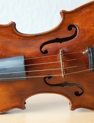 old violin 4/4 geige viola cello fiddle label CARLO ANTONIO TESTORE 5