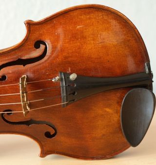 old violin 4/4 geige viola cello fiddle label CARLO ANTONIO TESTORE 6