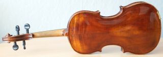 old violin 4/4 geige viola cello fiddle label CARLO ANTONIO TESTORE 7